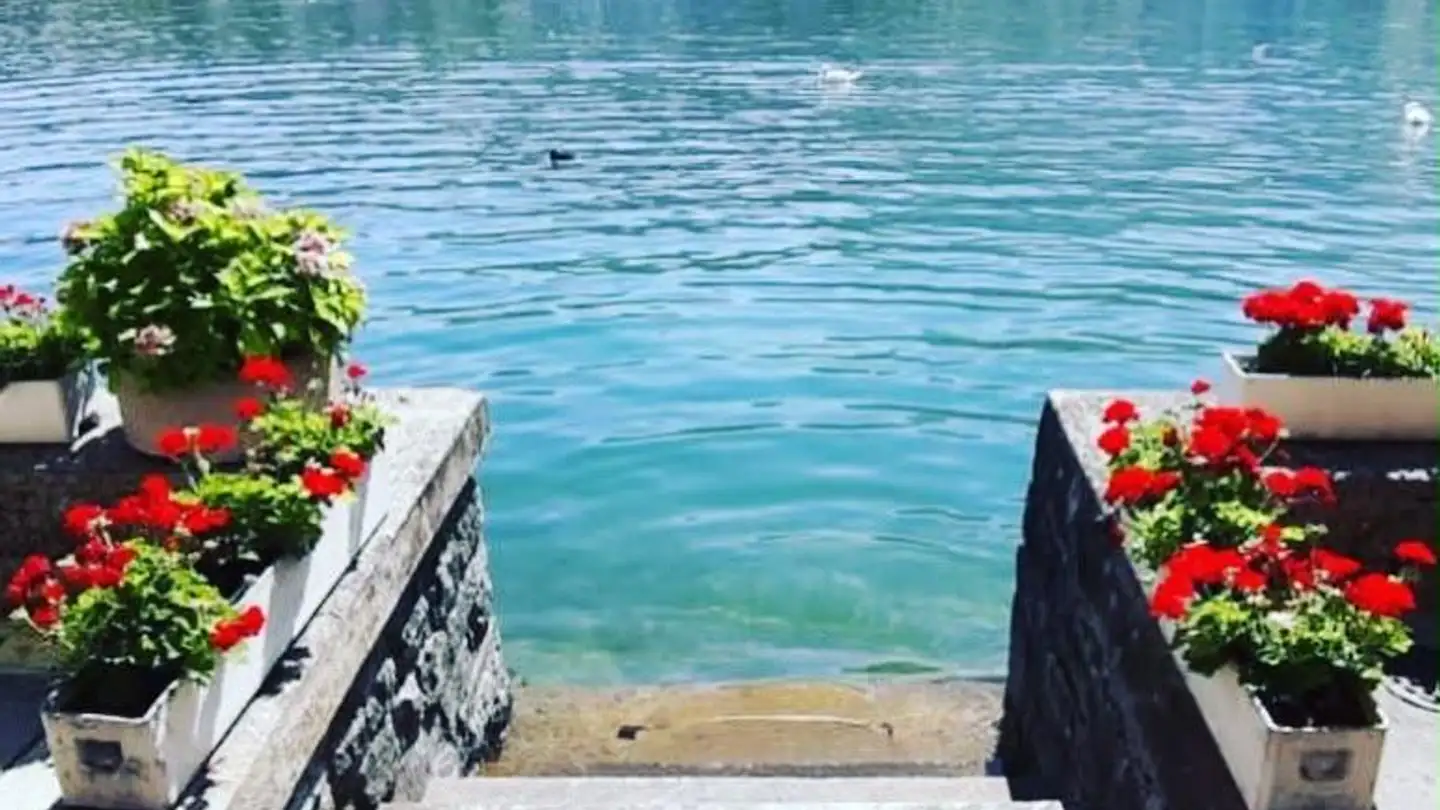 Wohnung mieten - Luzernerstrasse 43, 6403 Küssnacht am Rigi - Foto 3