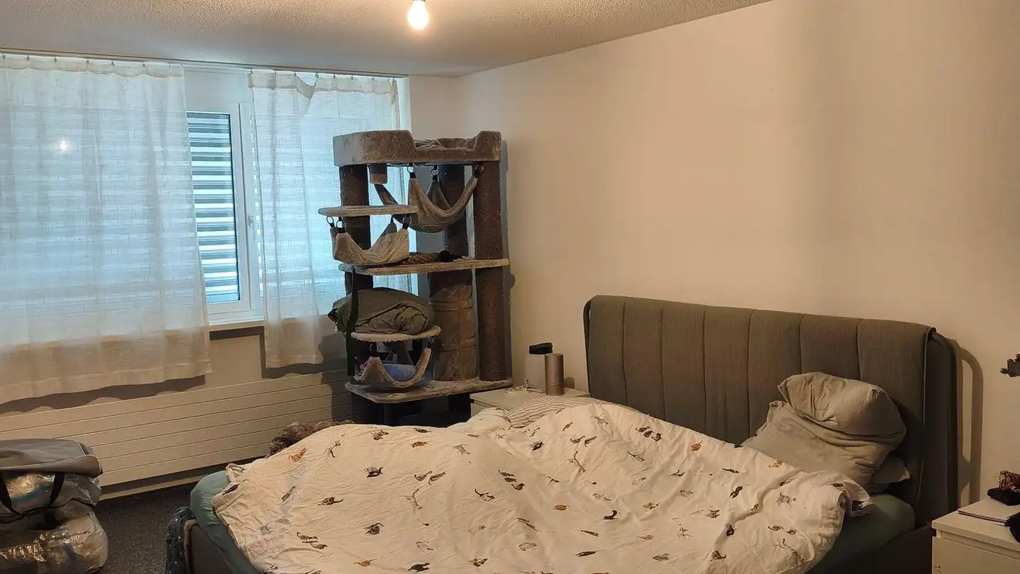 Apartment for rent - Zürcherstrasse 1, 7320 Sargans - Photo 4