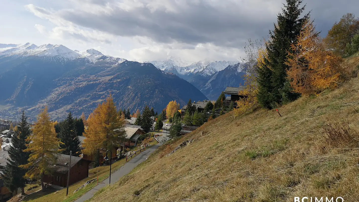 Terrain constructible à vendre - 1936 Verbier