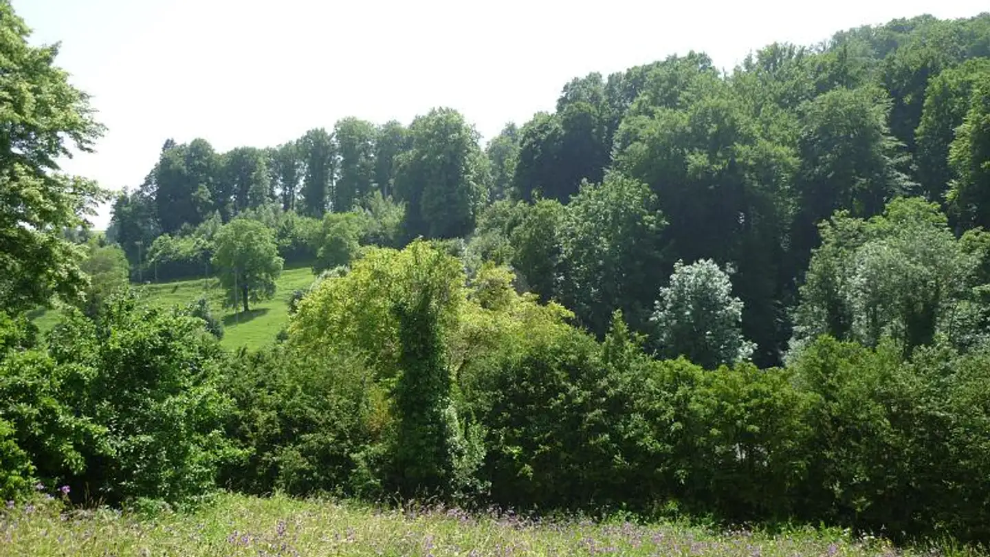 Appartamento in vendita - 1323 Romainmôtier - Foto 2