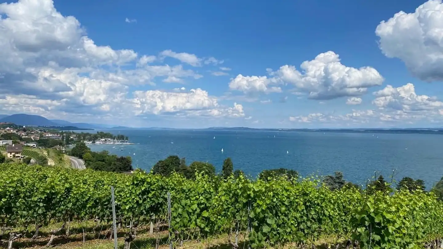 Bauland kaufen - 2024 St-Aubin-Sauges