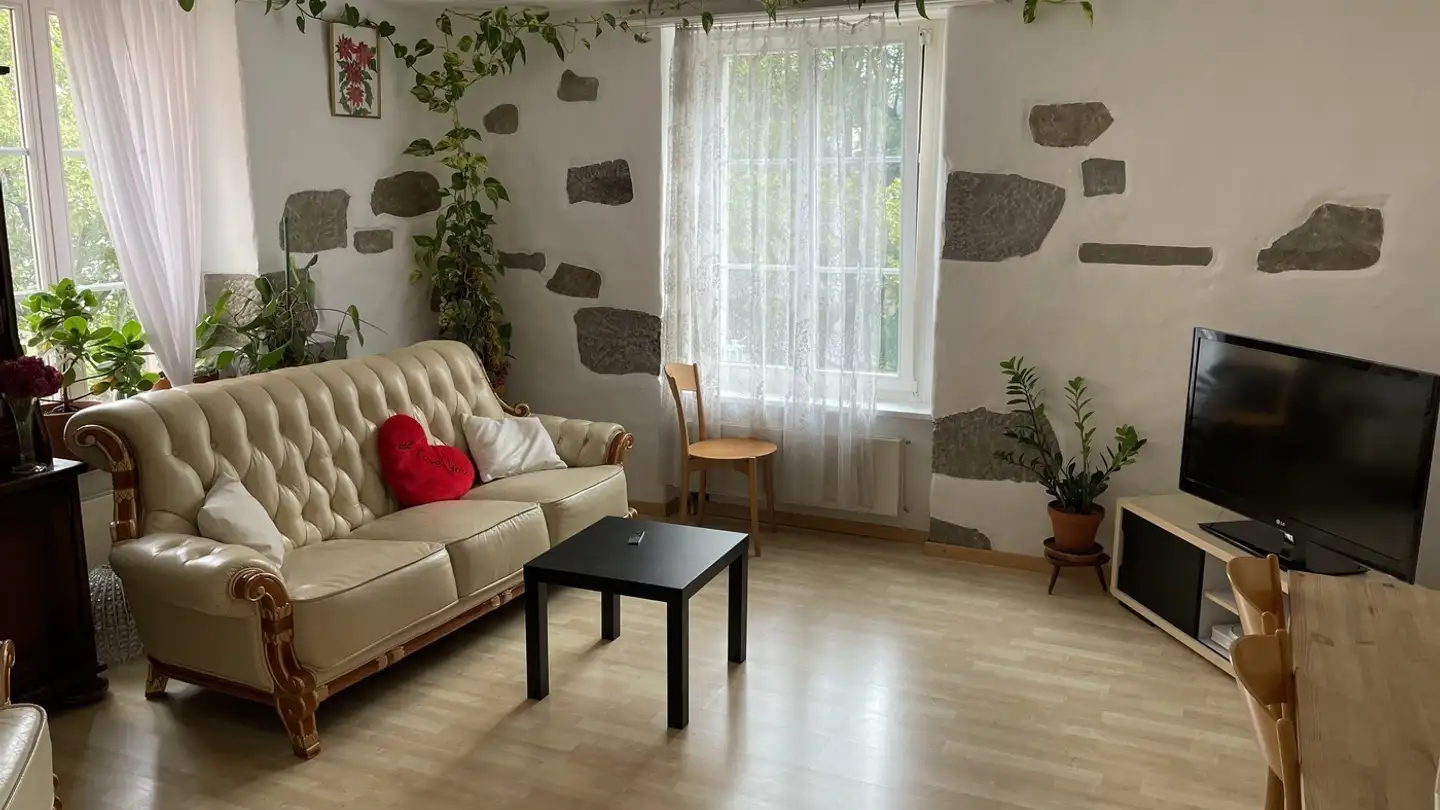 Chambre à louer - 8005 Zürich - Photo 3