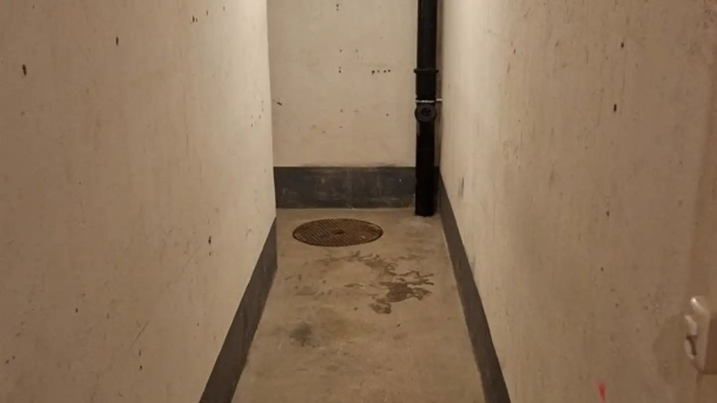 Espace de stockage à louer - Holeeholzweg 69, 4102 Binningen - Photo 3