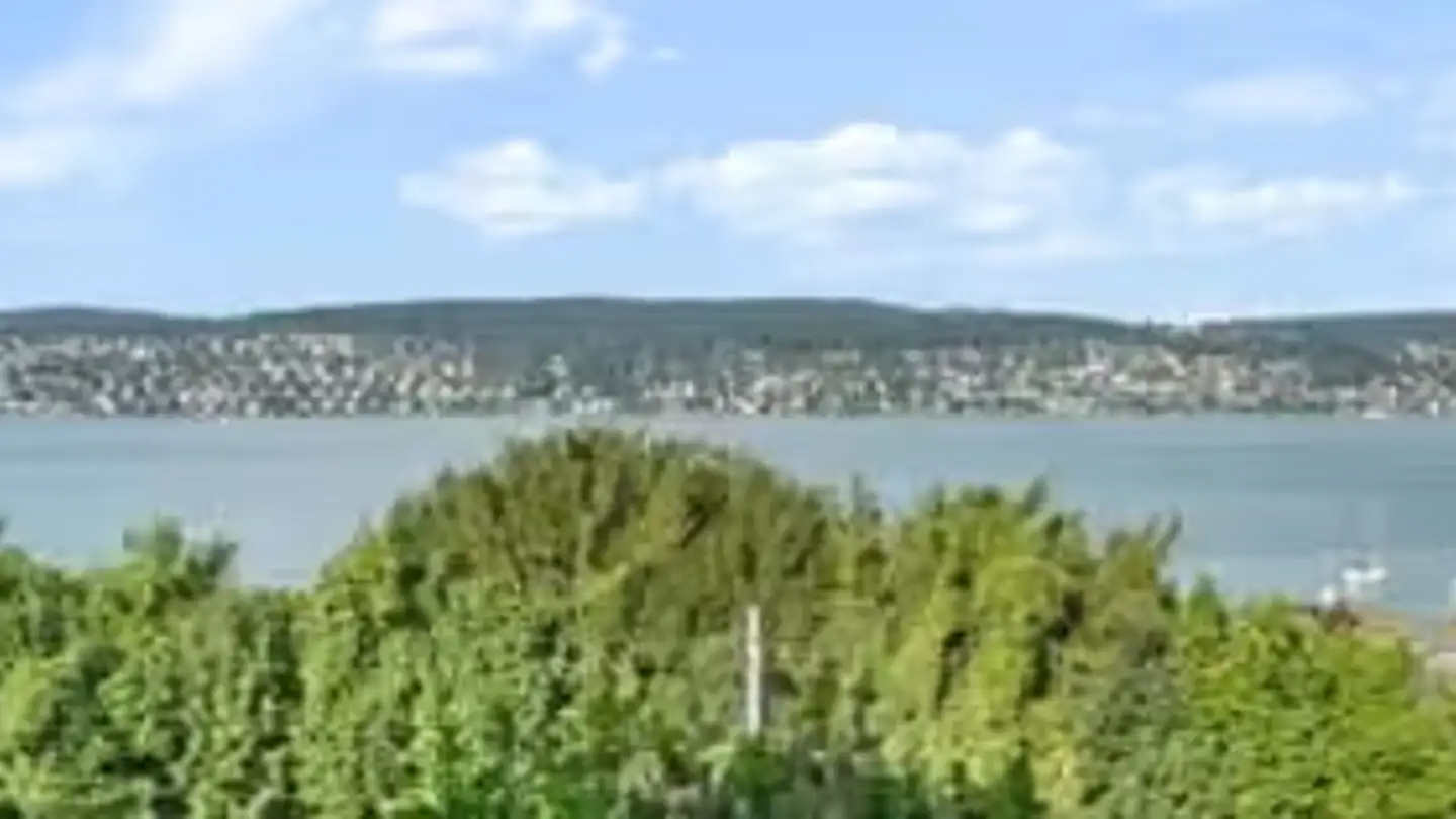 Appartement en terrasse à louer - Weinbergstrasse, 8802 Kilchberg ZH