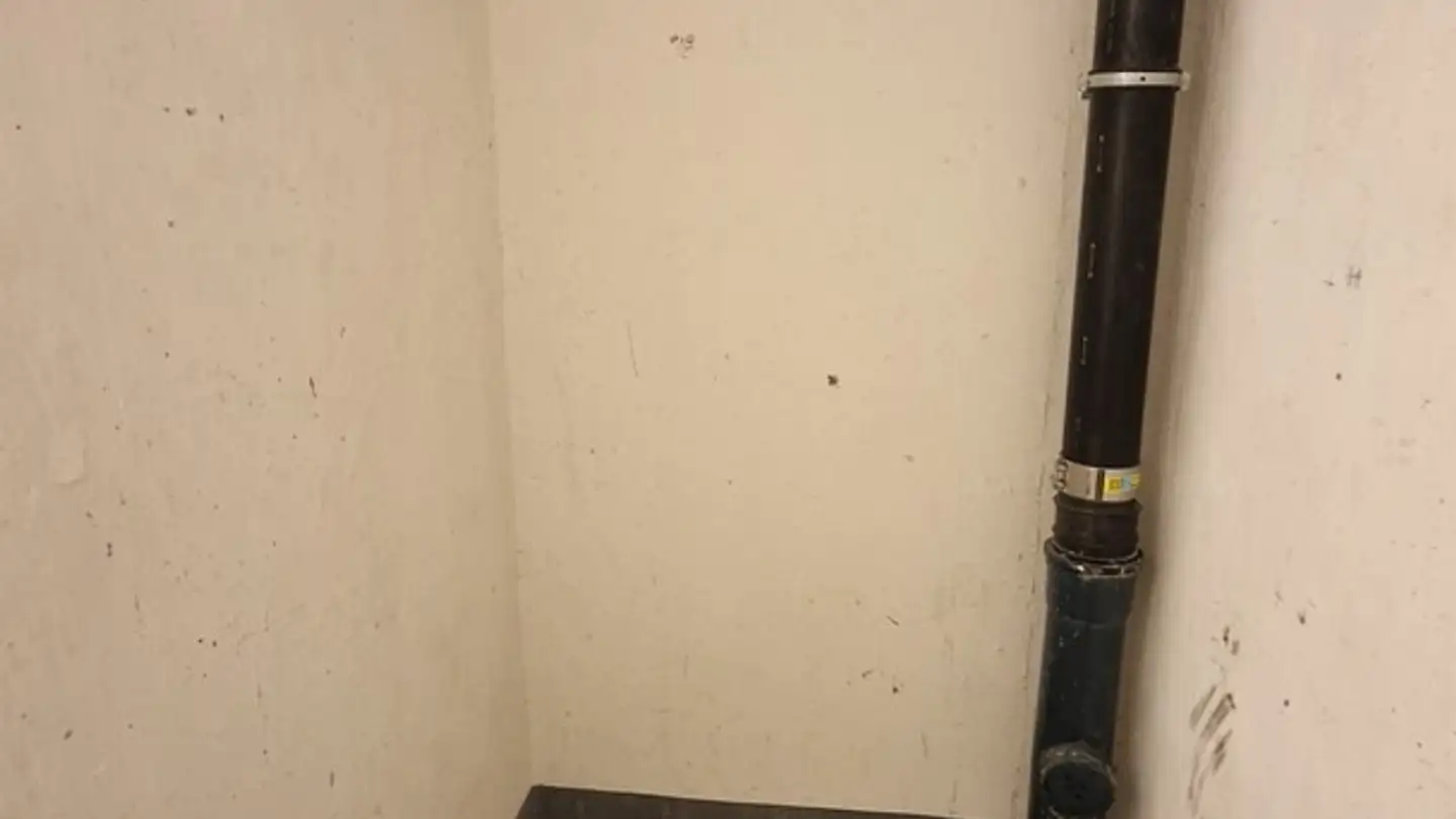 Espace de stockage à louer - Holeeholzweg 69, 4102 Binningen - Photo 4