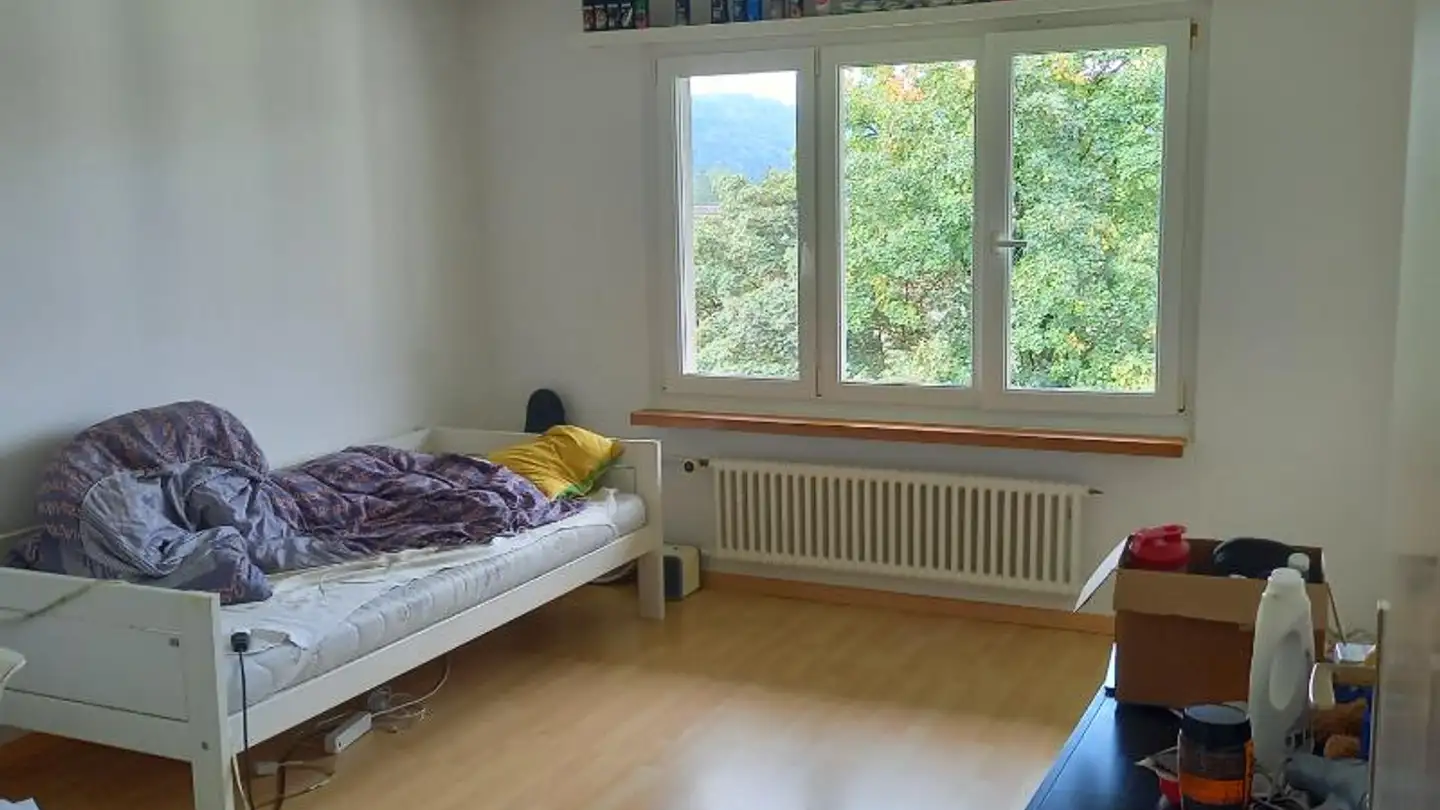Studio for rent - Mürtschenstrasse 18, 8716 Schmerikon - Photo 4
