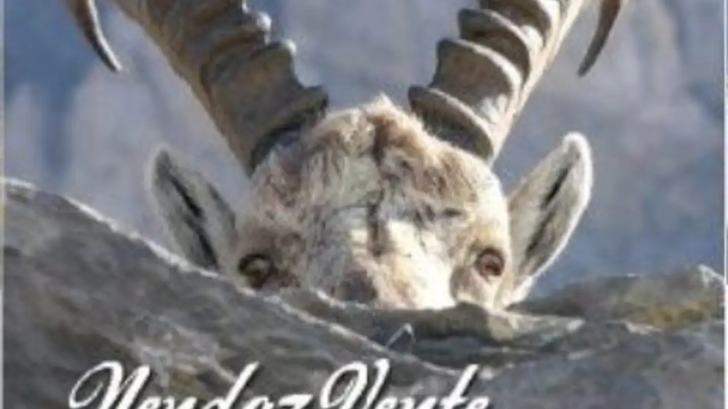 Espace de stockage à vendre - Route De La Pèroua, 1997 Haute-Nendaz