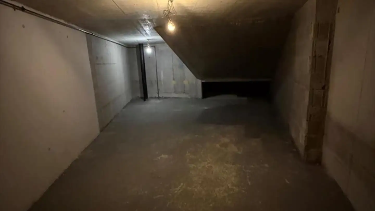 Espace de stockage à louer - 1290 Versoix - Photo 4