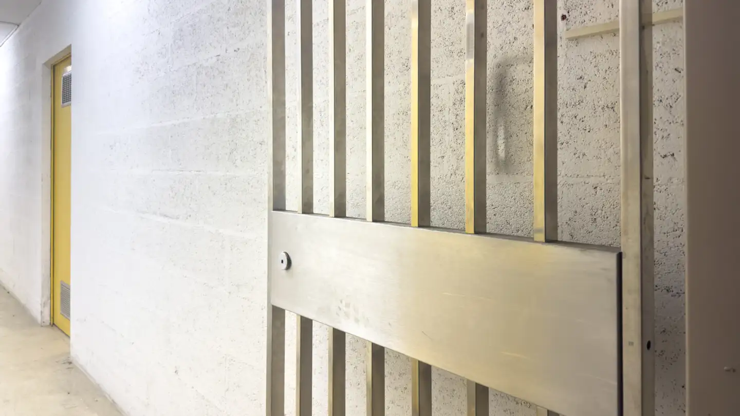 Spazio di archiviazione in affitto - Chemin Grenet, 1214 Vernier - Photo 4