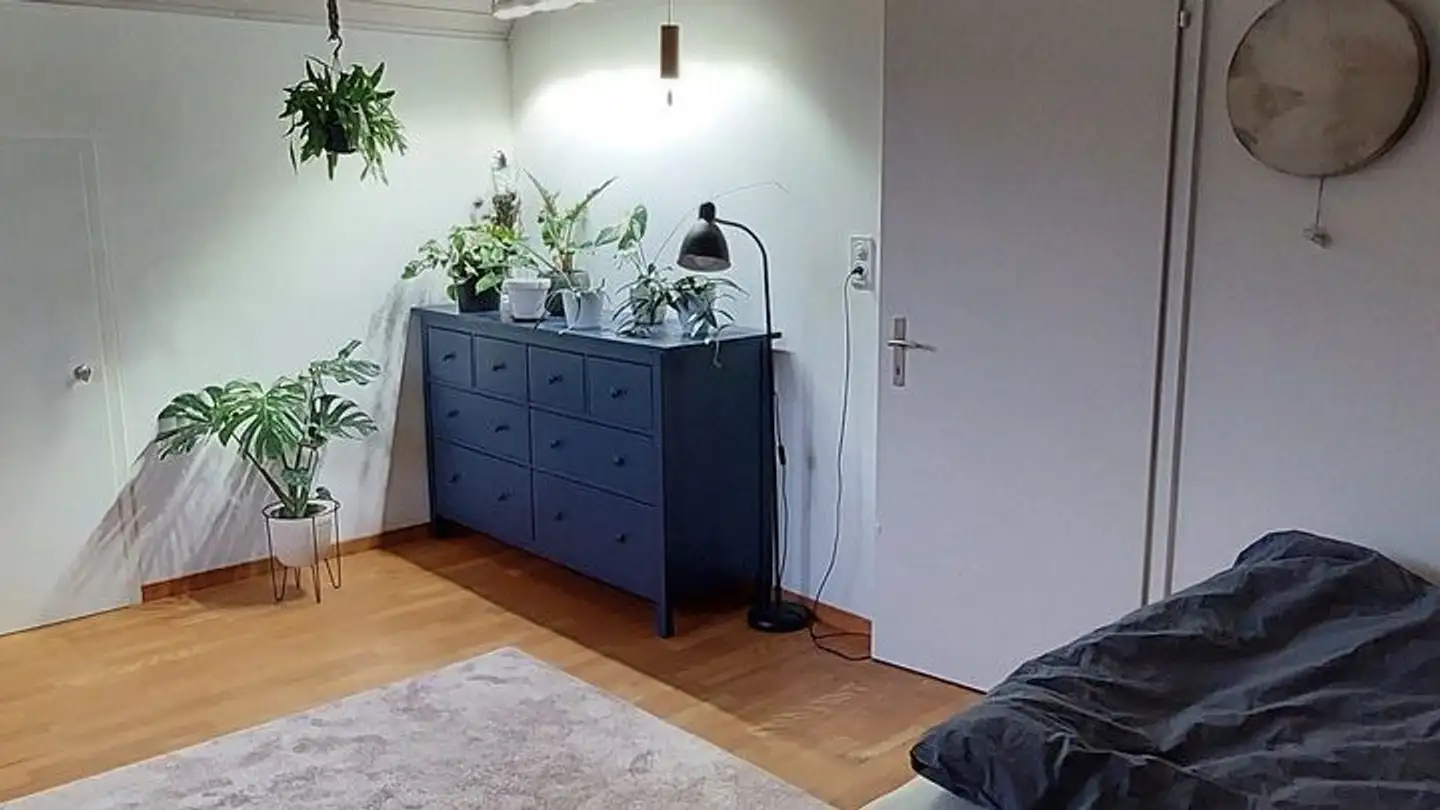 Studio for rent - Rüedistrasse 2, 8427 Freienstein - Photo 2