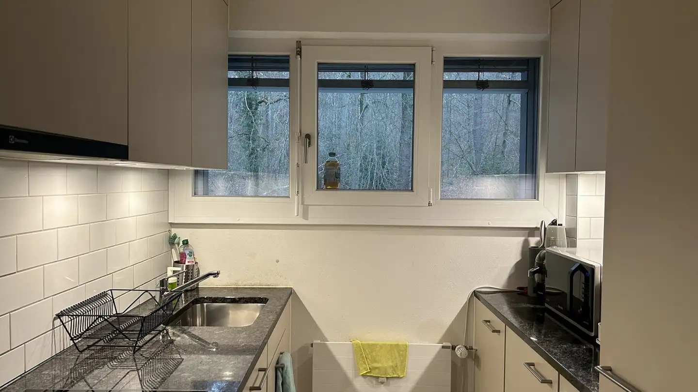 Appartamento in affitto - Rütistrasse 30, 8134 Adliswil - Foto 2