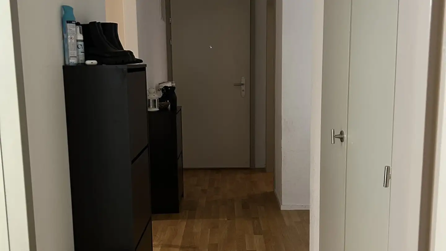 Appartamento in affitto - Rütistrasse 30, 8134 Adliswil - Foto 4