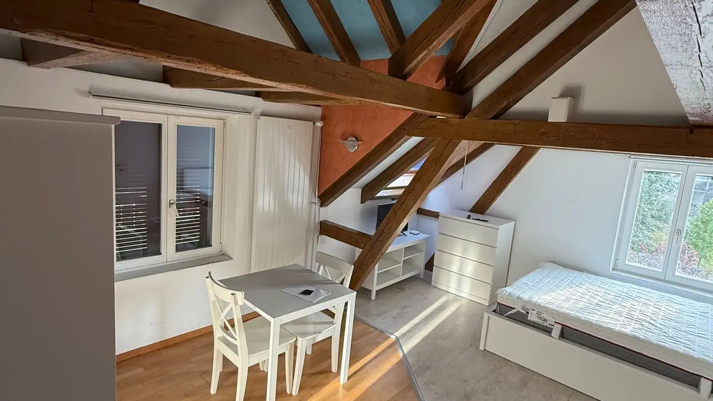 Appartamento ammobiliato in affitto - Rosenstrasse 2, 8623 Wetzikon ZH - Foto 3