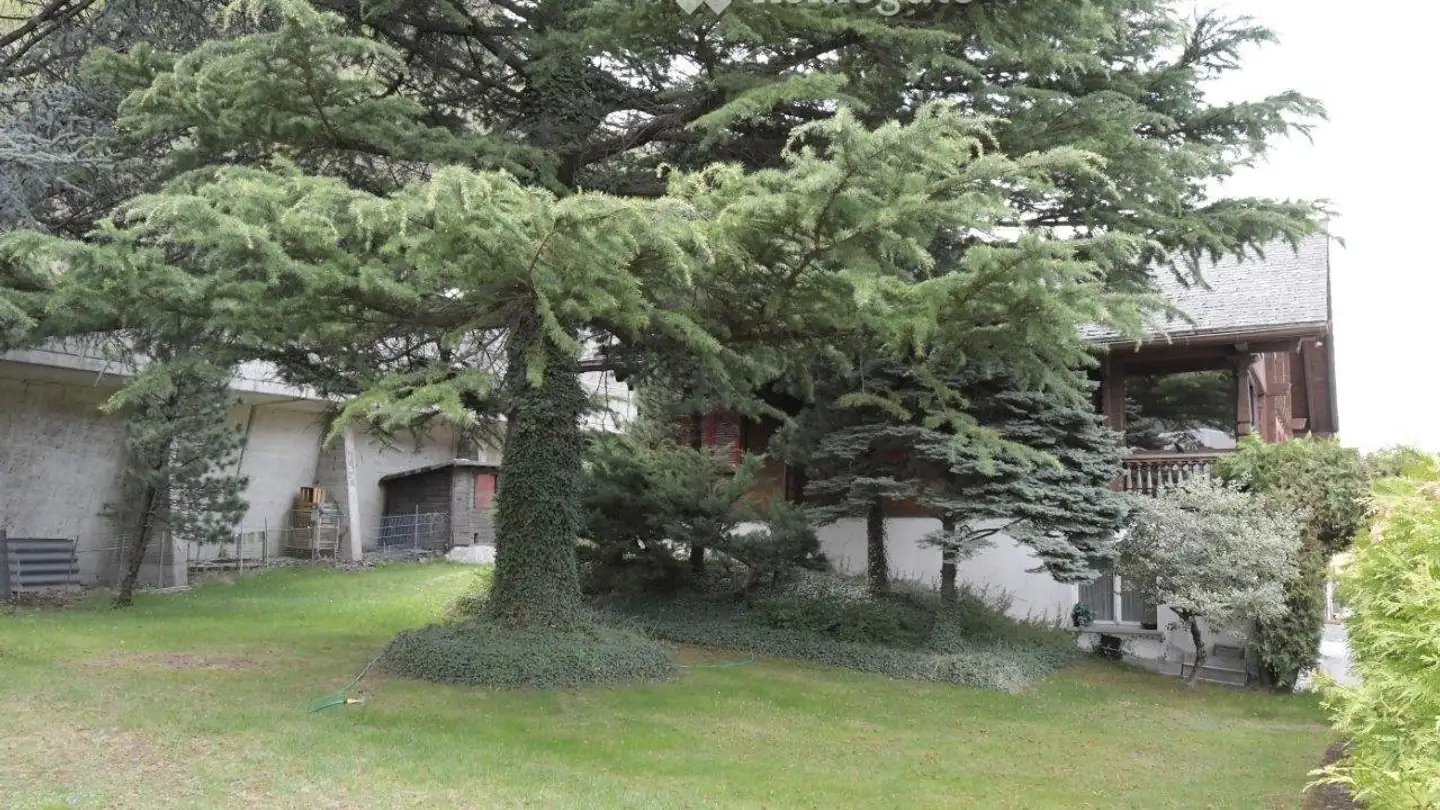 Casa singola in vendita - 3942 St. German - Photo 3