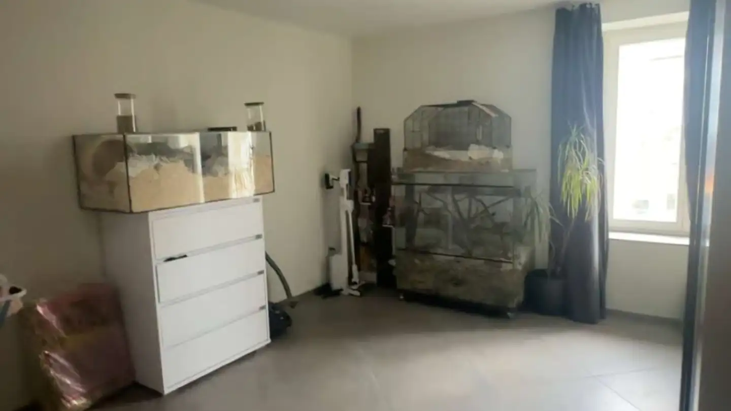 Appartement à louer - Hauptstrasse 4, 8215 Hallau - Photo 4