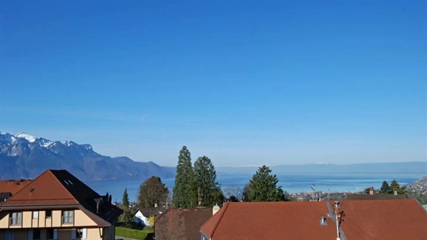 Wohnung kaufen - 1807 Blonay - Foto 4