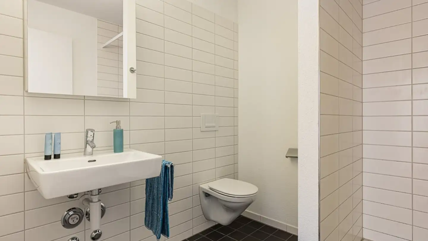 Attique à louer - Kempttalstrasse 49, 8330 Pfäffikon ZH - Photo 4