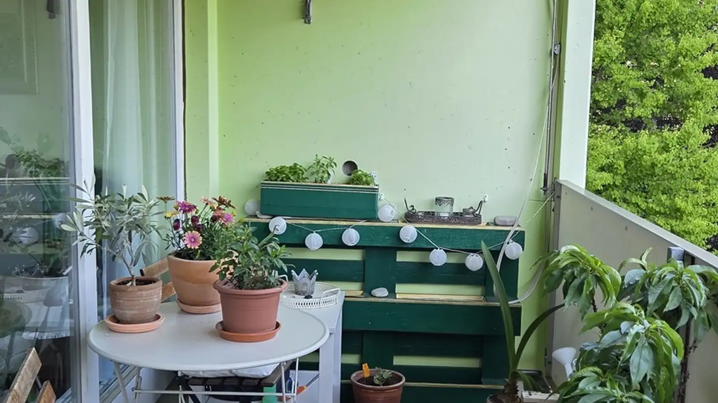 Appartement à louer - Spühlirain 40, 3098 Schliern b. Köniz - Photo 3