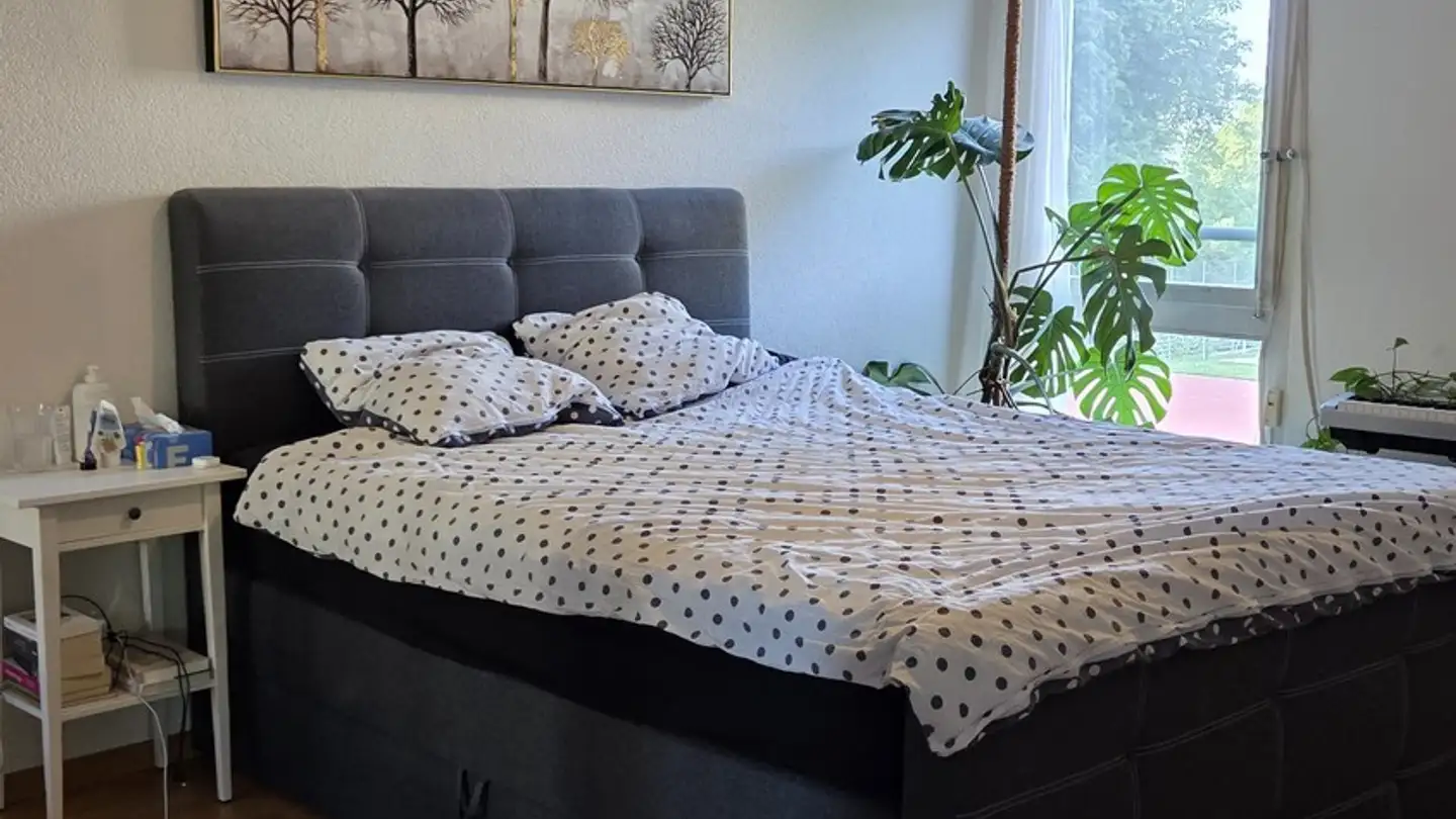 Appartement à louer - Spühlirain 40, 3098 Schliern b. Köniz