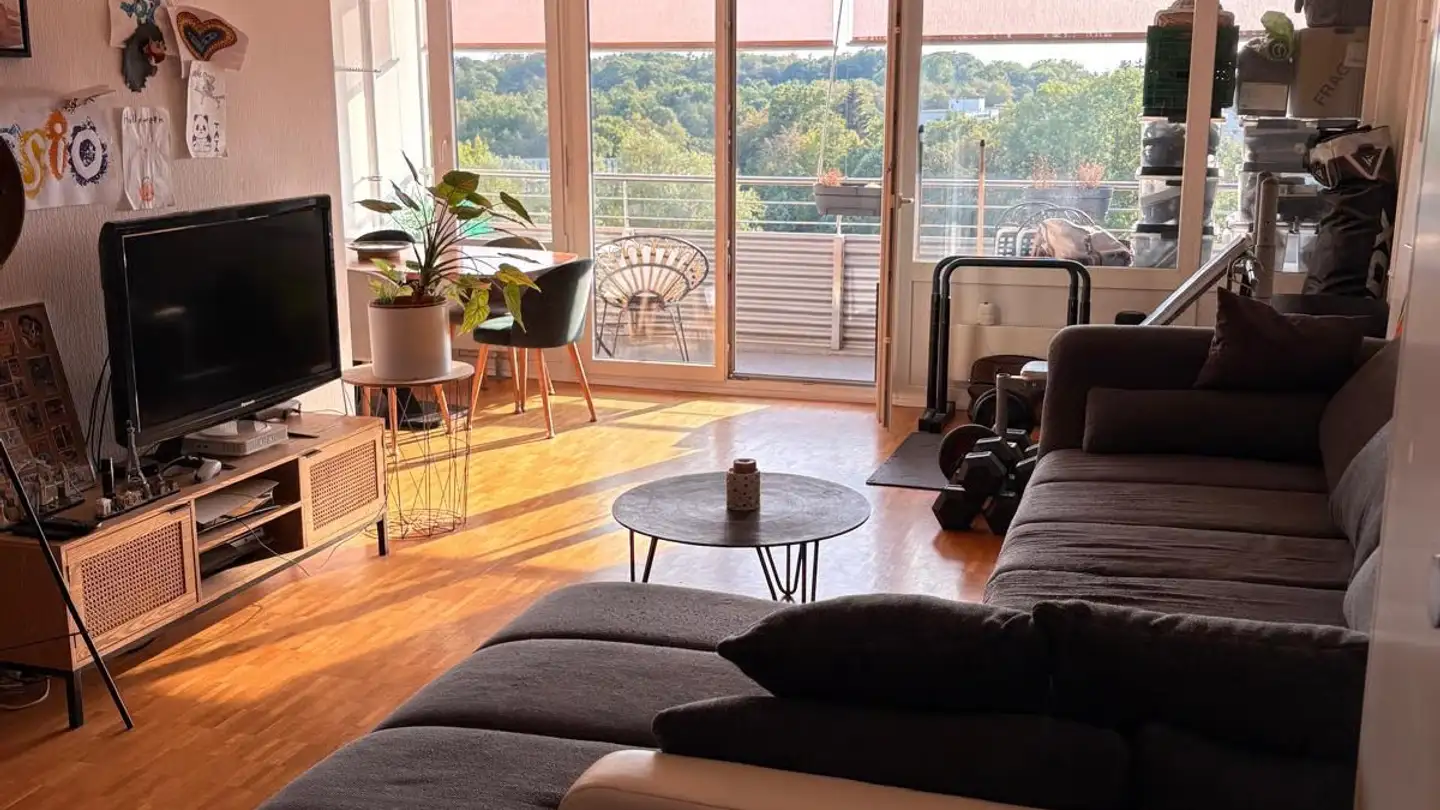 Apartment for rent - Chemin Isabelle-De-Montolieu, 1010 Lausanne