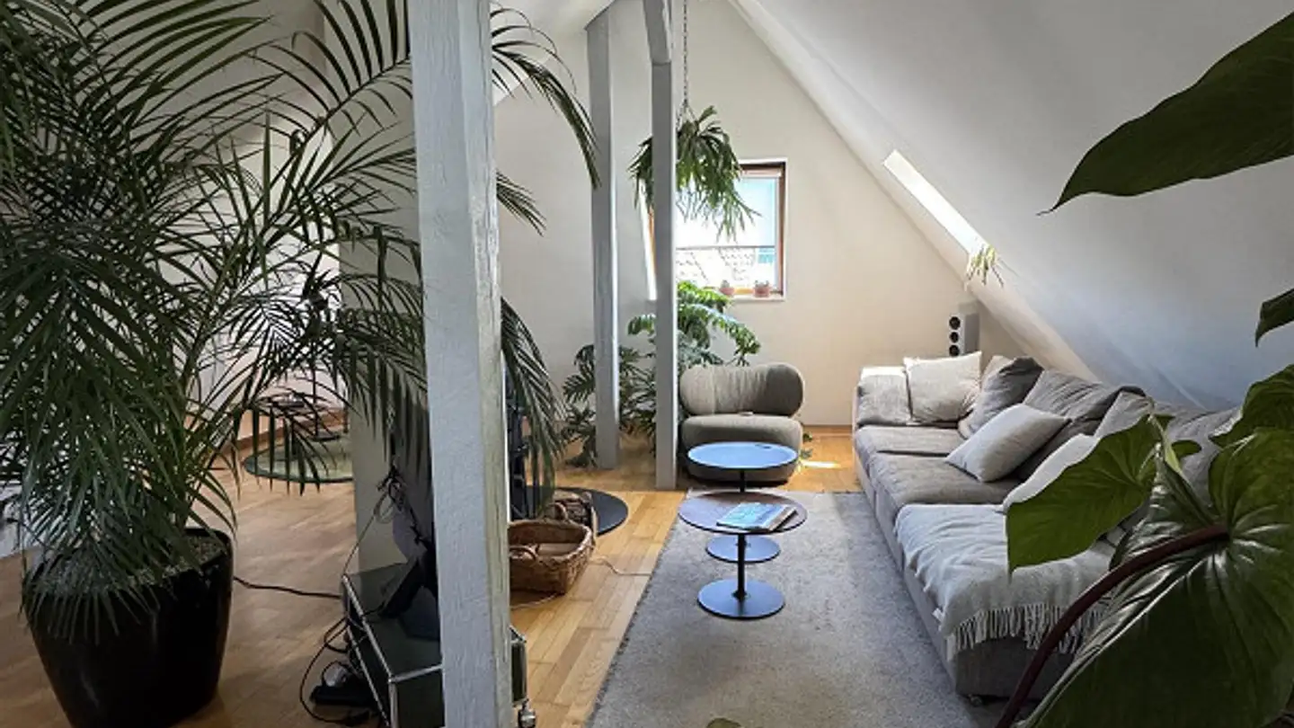 Furnished apartment for rent - Schweizergasse 45, 4054 Basel