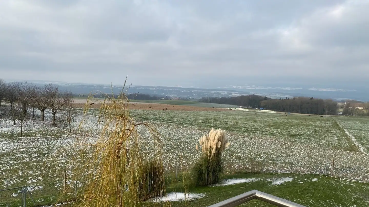 Apartment for rent - 1042 Bettens - Photo 2