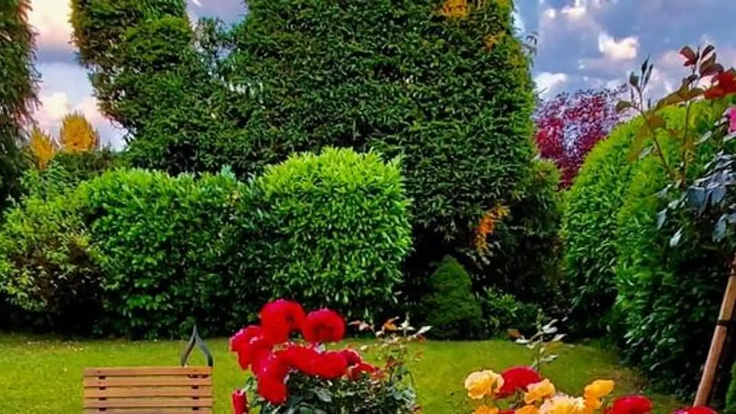 Einfamilienhaus kaufen - Rankstrasse, 8645 Jona - Foto 2