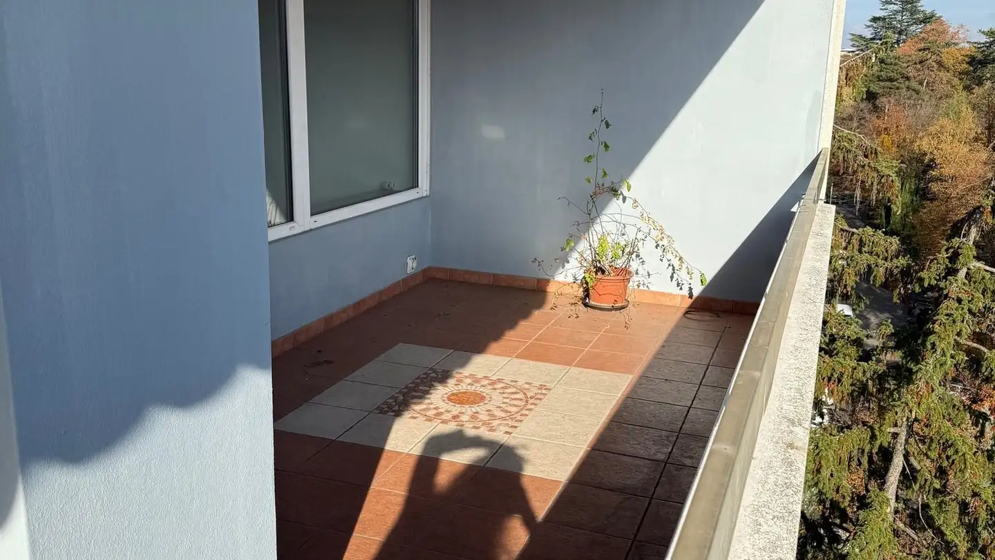 Wohnung mieten - Route De Florissant 78, 1206 Genève - Foto 4