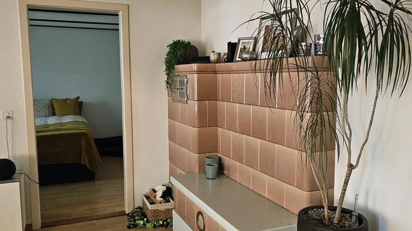 Appartement à louer - 5103 Möriken AG - Photo 4