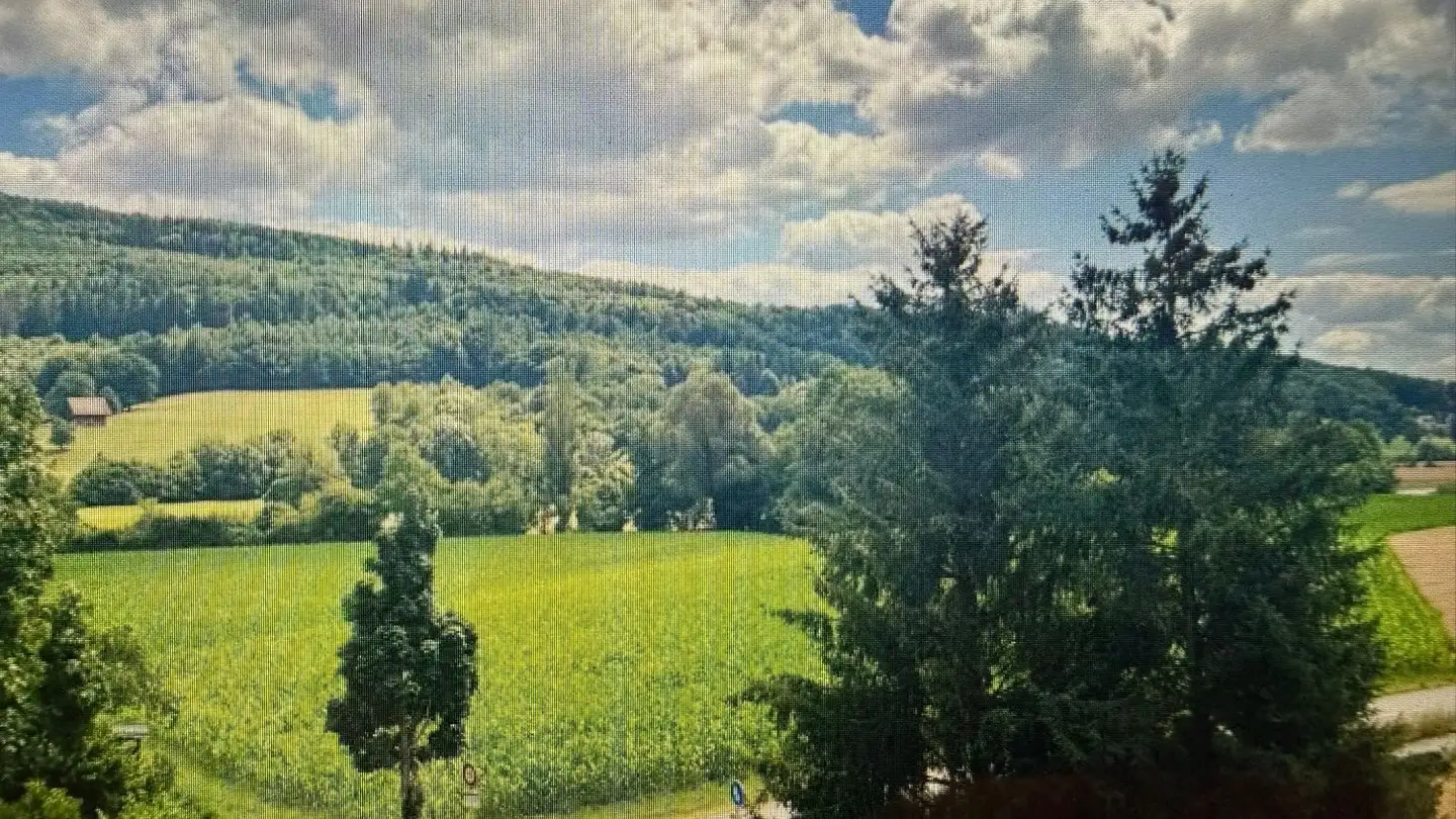 Apartment for rent - Mittelgäustrasse 124, 4612 Wangen b. Olten