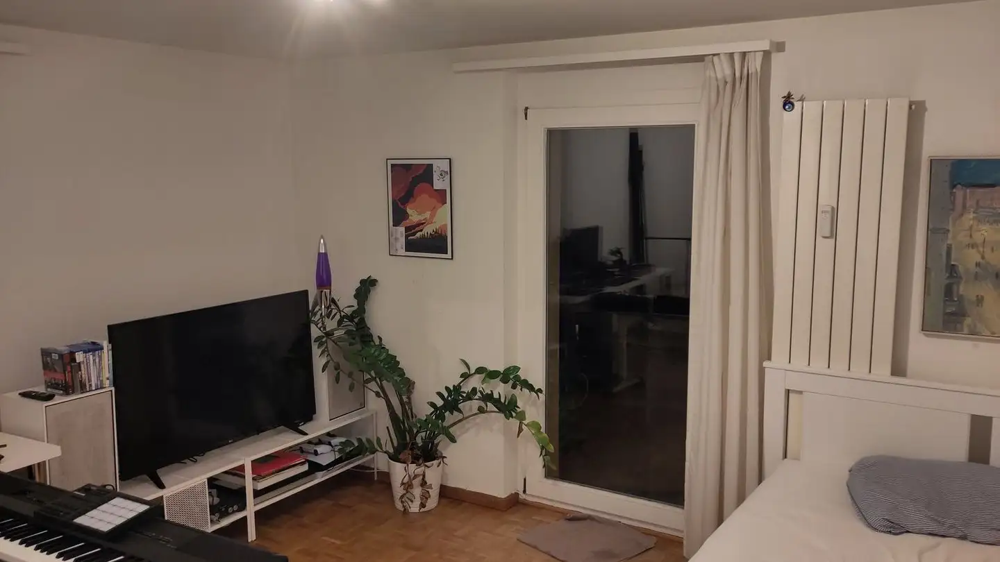 Apartment for rent - Baumgartenweg 1, 8134 Adliswil - Photo 2