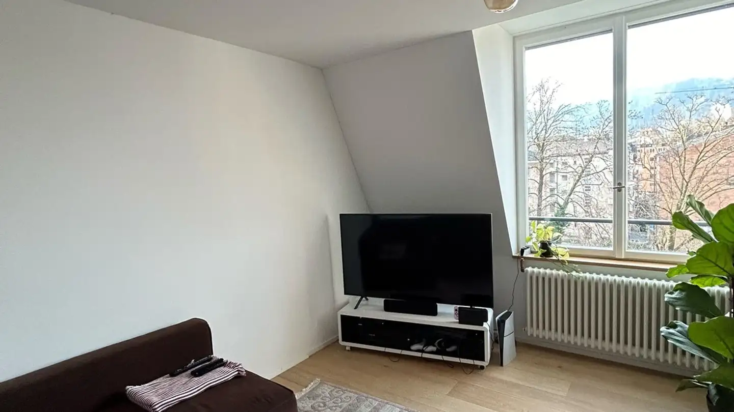 Single room for rent - Zelgstrasse 3, 8003 Zürich - Photo 4