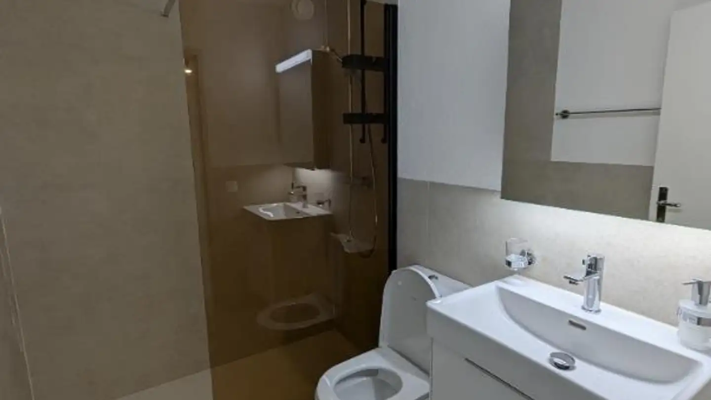 Appartamento in vendita - Langsamstig 13, 5600 Lenzburg - Photo 3