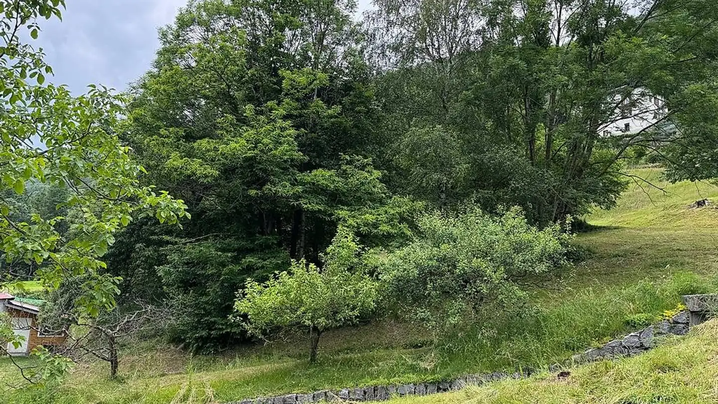 Constructible plot for sale - 6810 Isone - Photo 3
