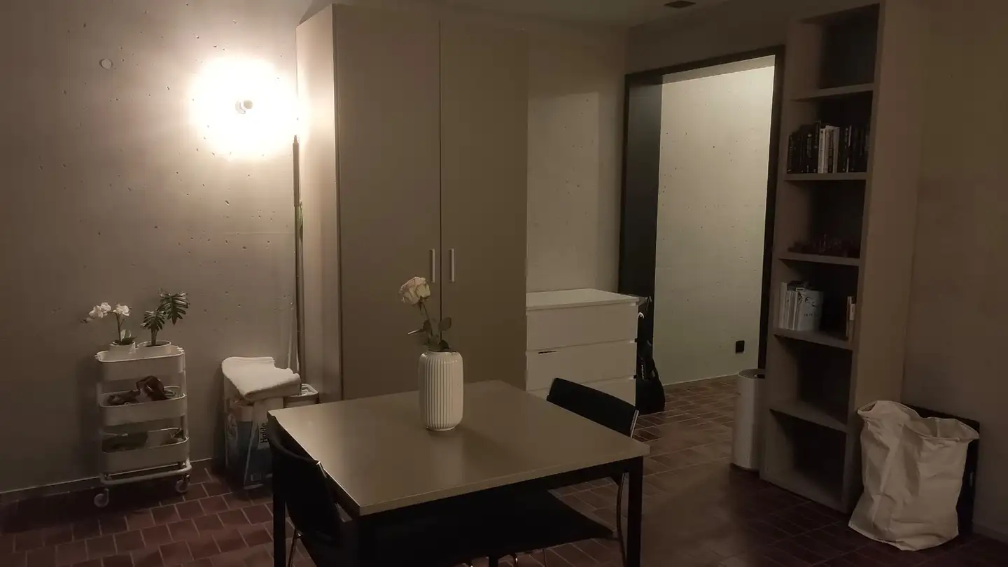 Appartement à louer - Meierhofstrasse 3a, 8820 Wädenswil - Photo 2