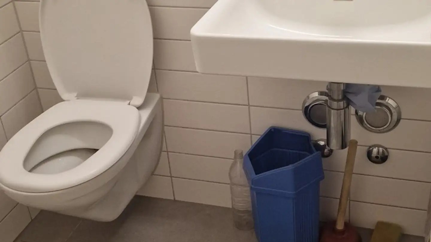 Zimmer mieten - Badenerstrasse 255, 8003 Zürich - Foto 2