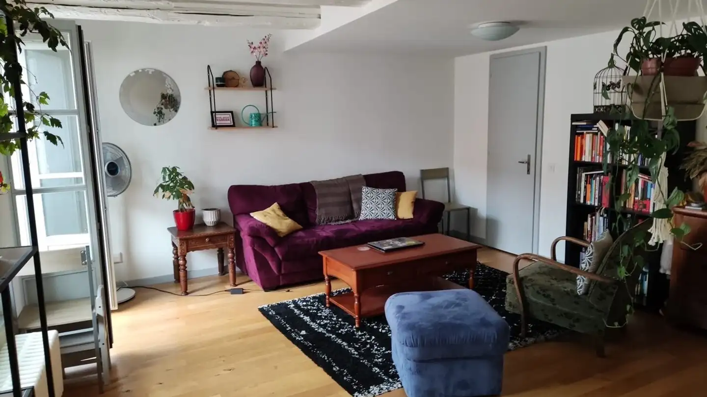Appartement à louer - Rue Du Pont-Muré 18, 1700 Fribourg