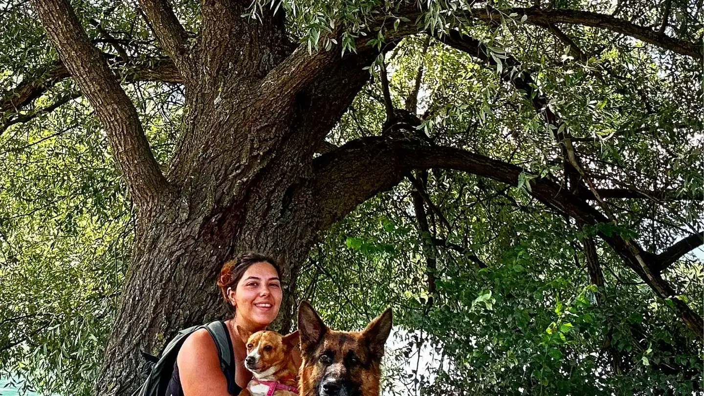 Apartment for rent - 1860 Aigle