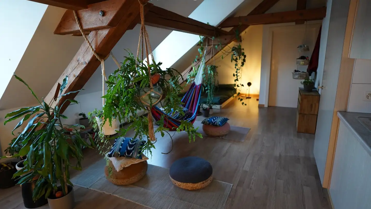 Apartment for rent - Rosinliweg 44, 8400 Winterthur