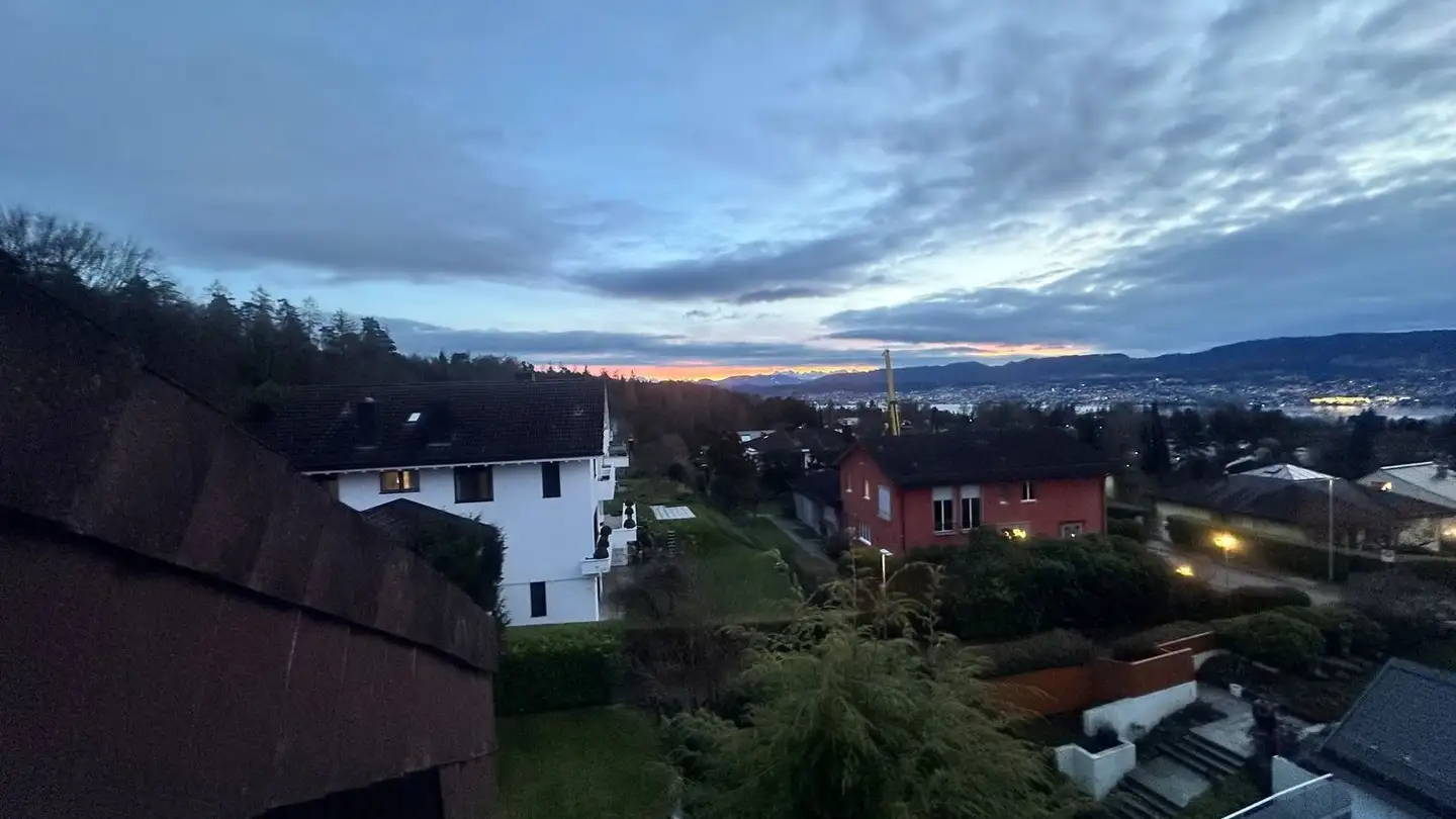 Duplex in affitto - 8702 Zollikon - Foto 3