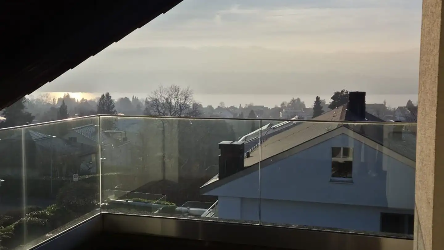 Duplex in affitto - 8702 Zollikon - Foto 4