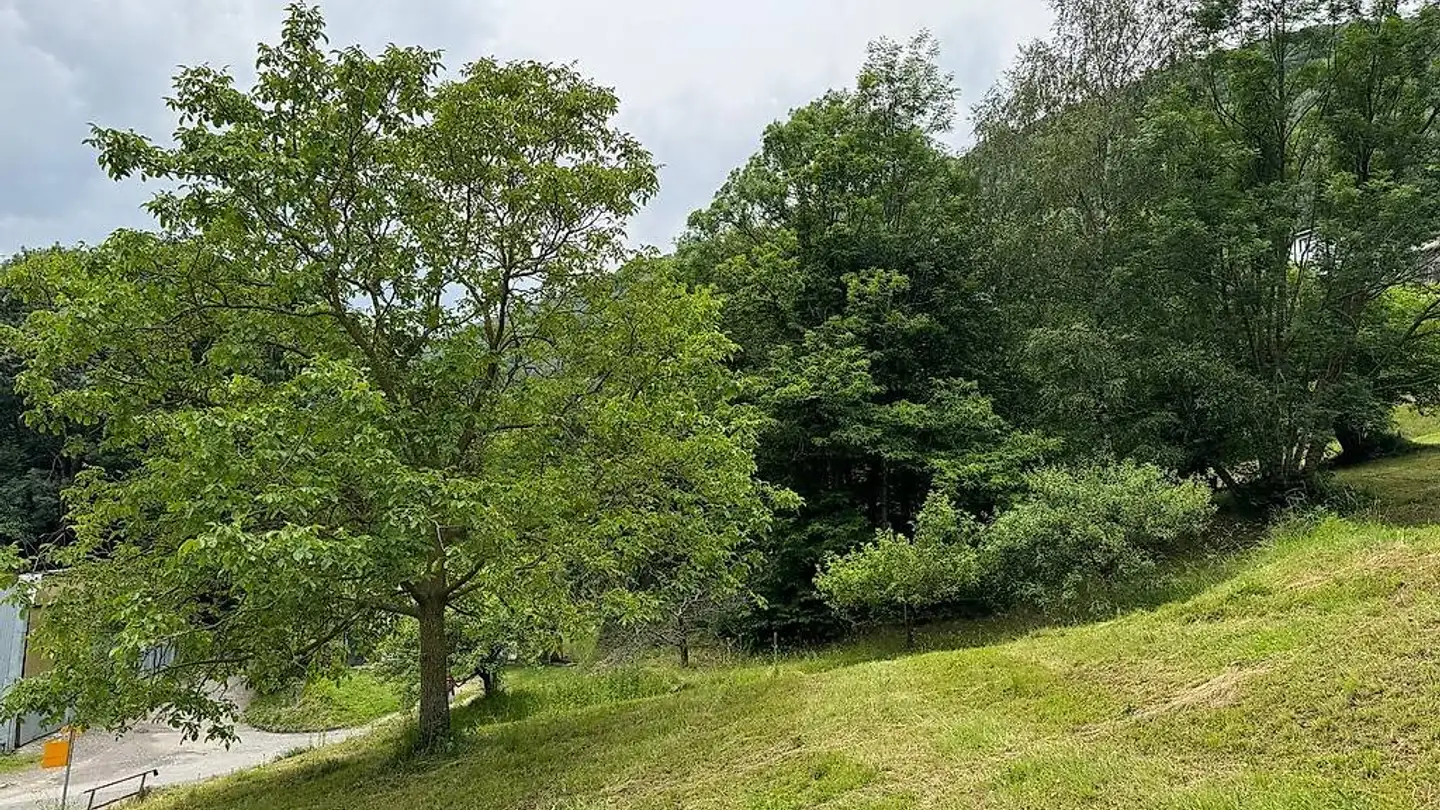 Constructible plot for sale - 6810 Isone