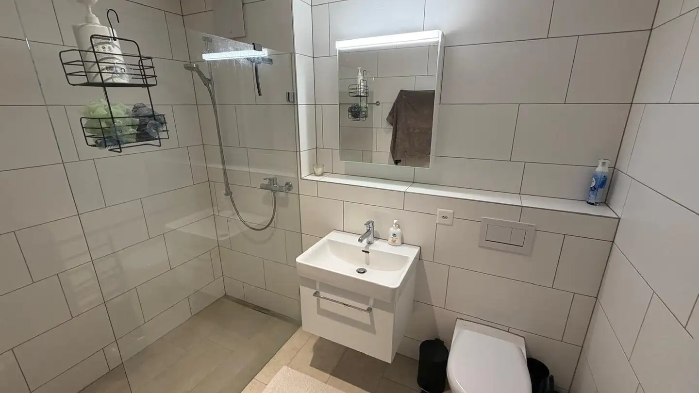 Apartment for rent - Roggenfeldstrasse 3, 8424 Embrach - Photo 4