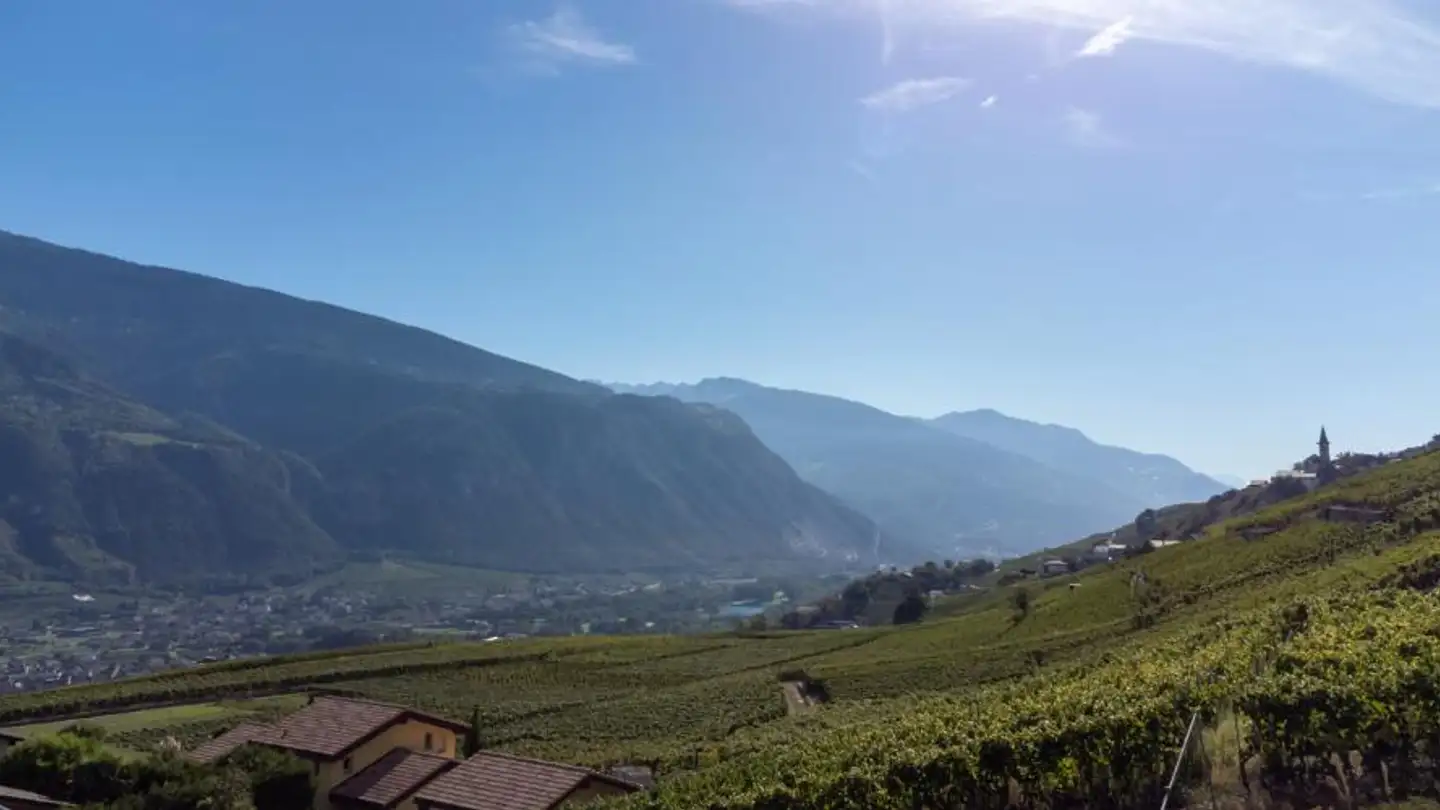 Villa for sale - 3960 Sierre - Photo 3