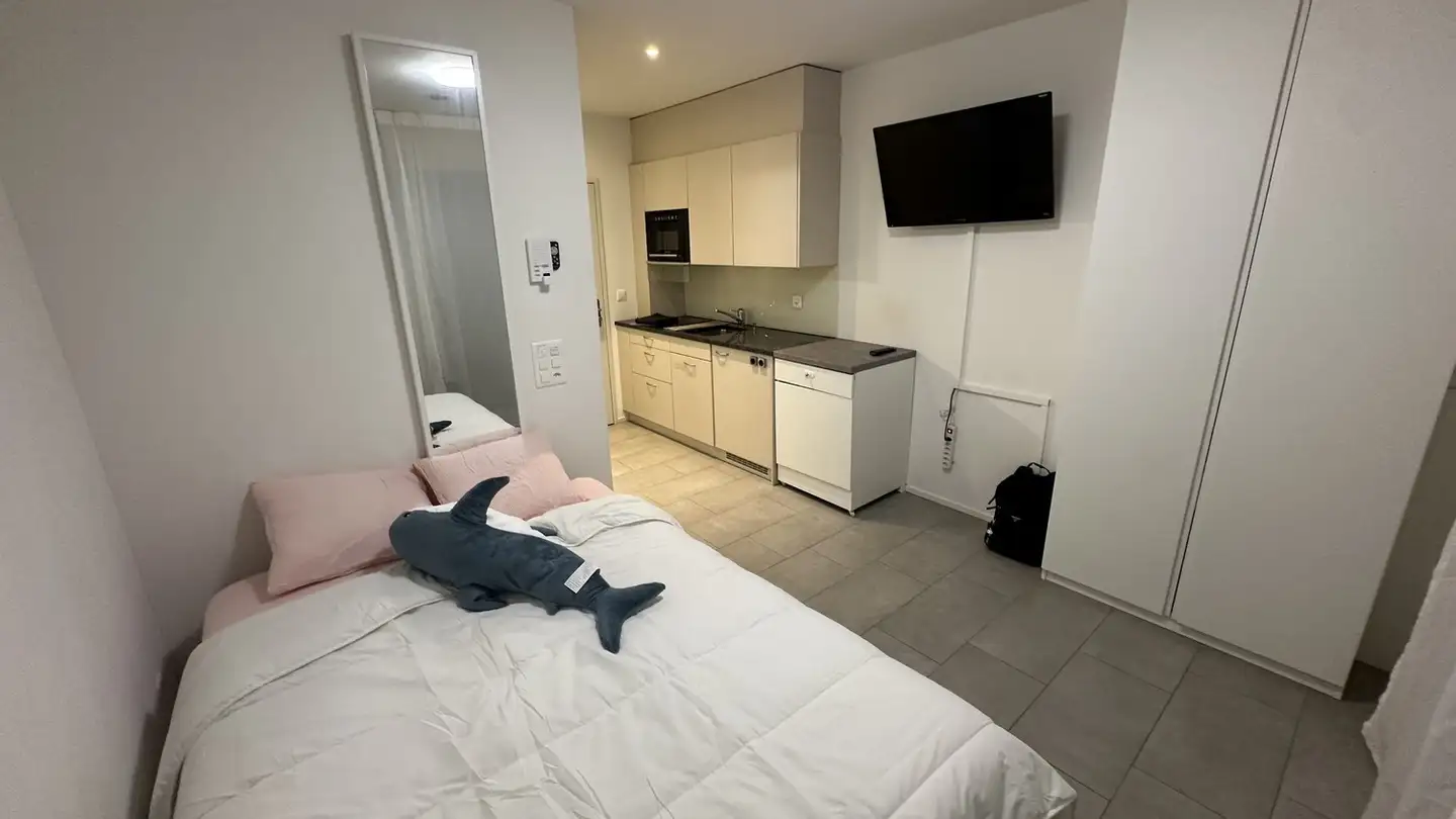 Apartment for rent - Winterthurerstrasse 580, 8051 Zürich