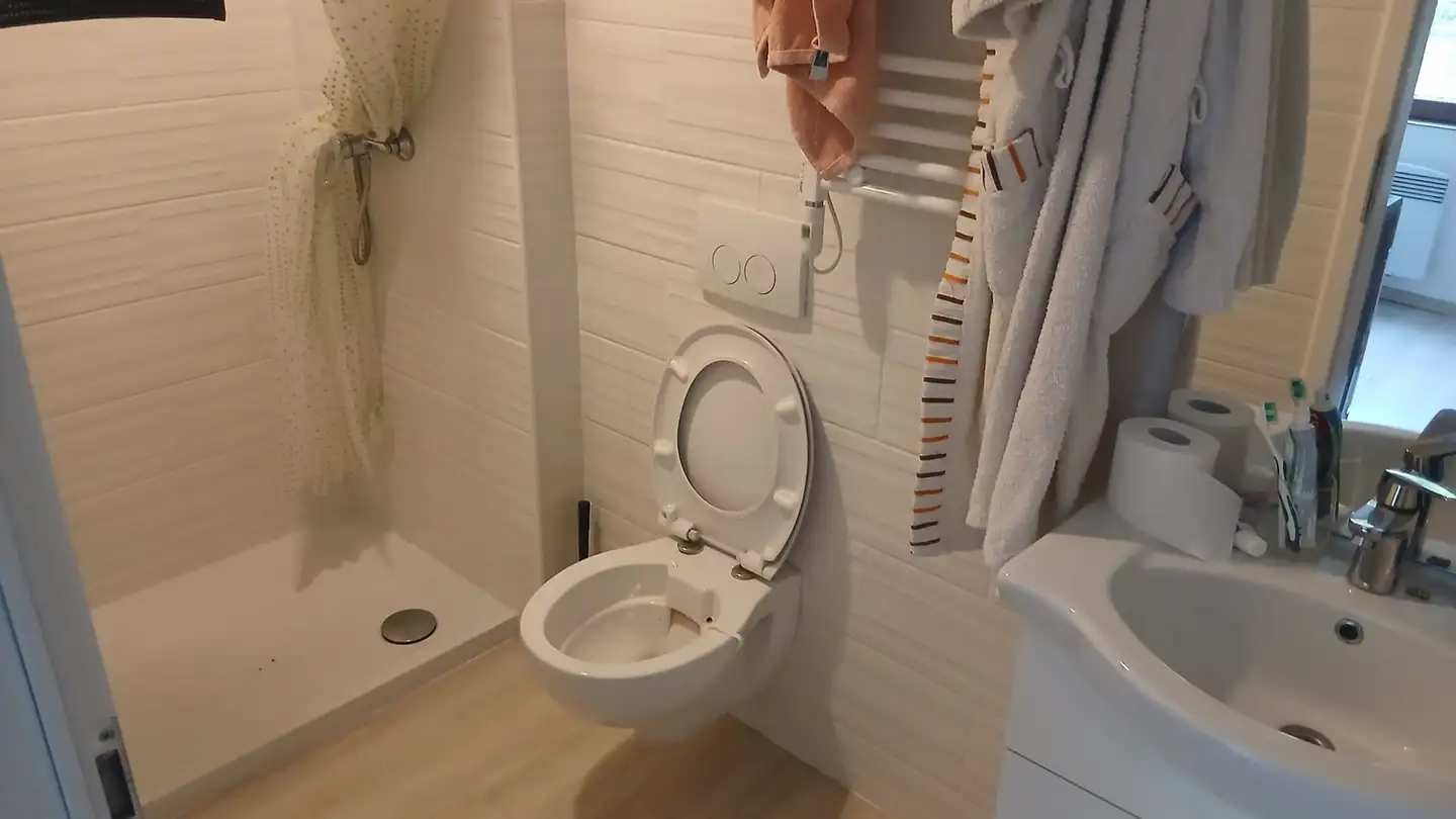 Wohnung mieten - Via Ai Ronch 2, 6556 Leggia - Foto 3
