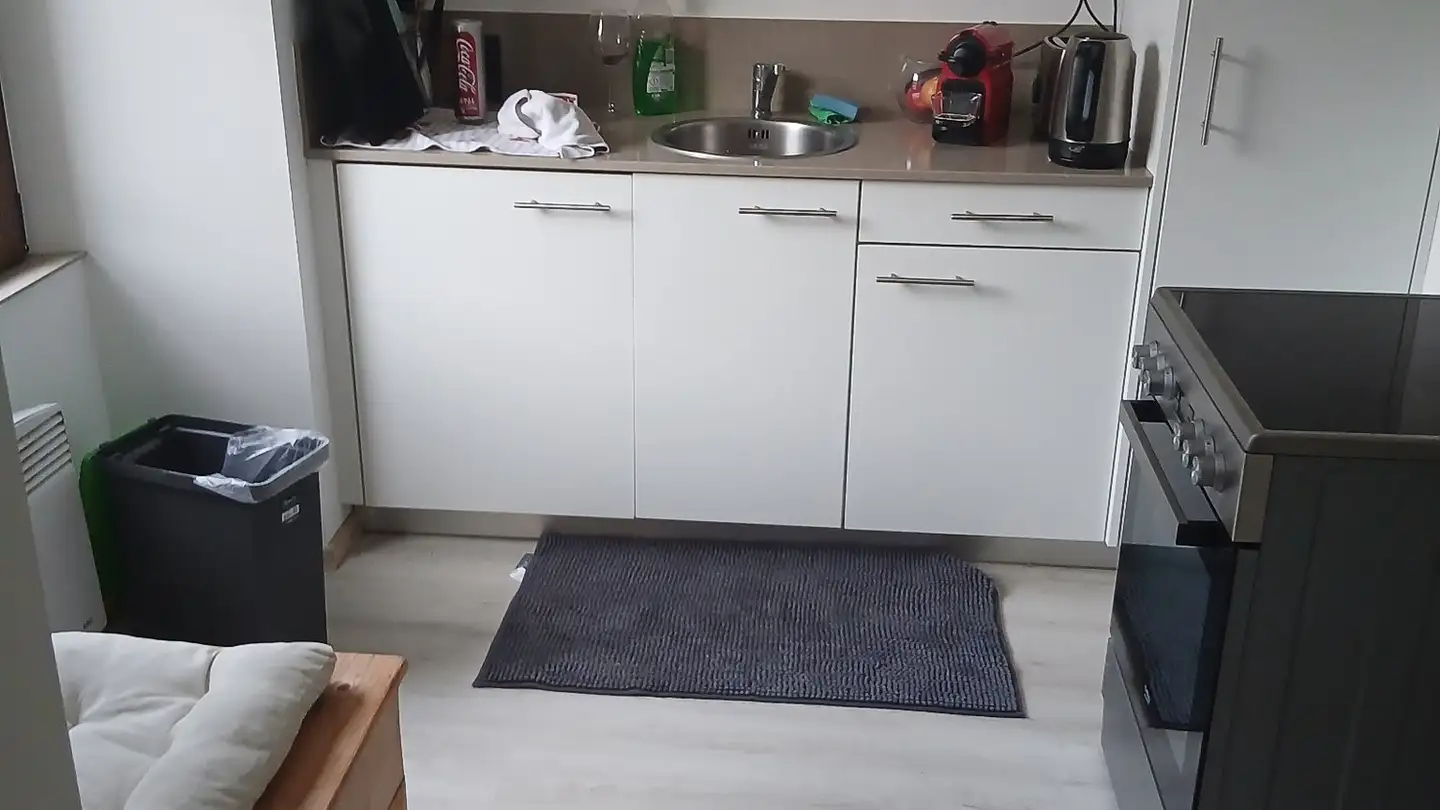 Wohnung mieten - Via Ai Ronch 2, 6556 Leggia - Foto 4