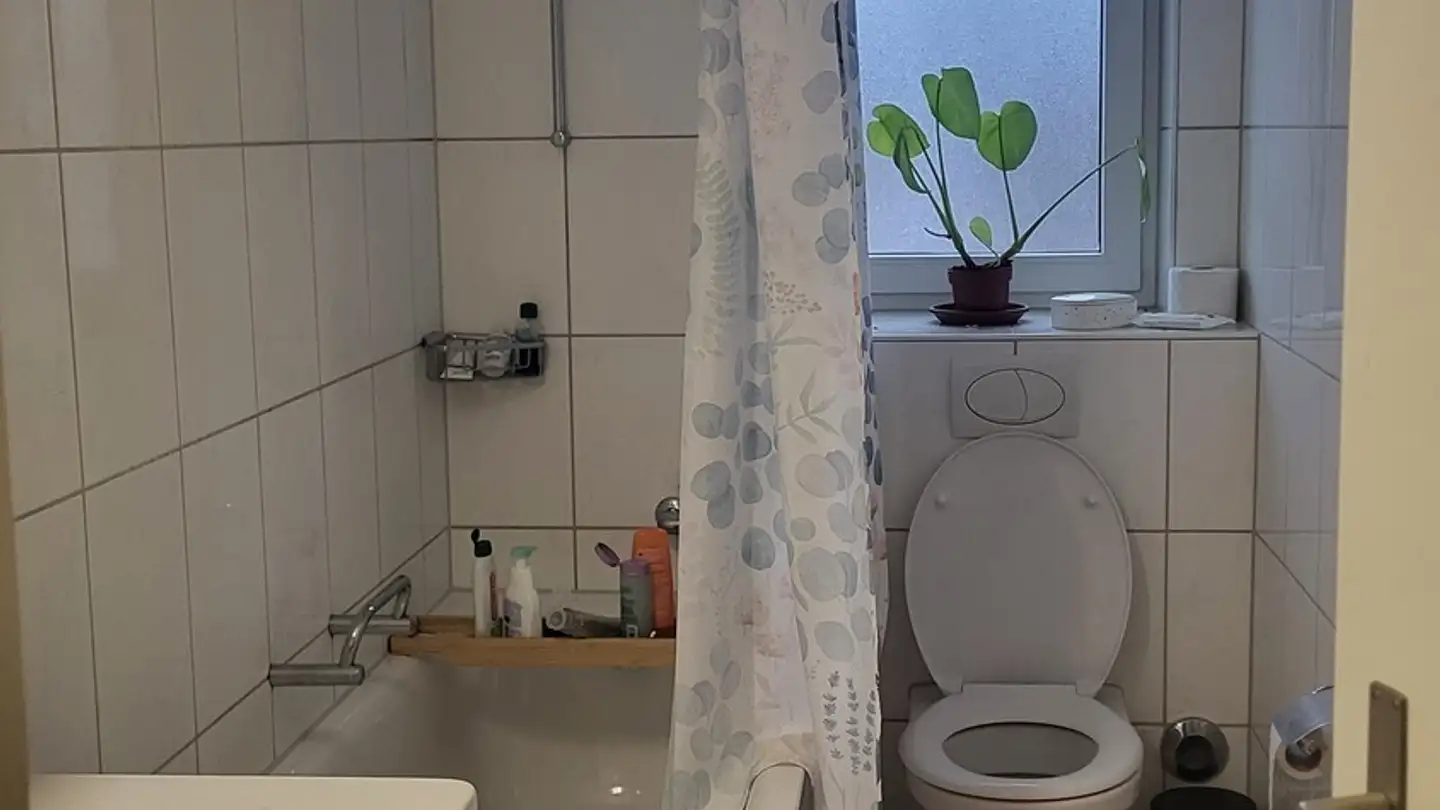 Wohnung mieten - 8055 Zürich - Foto 4