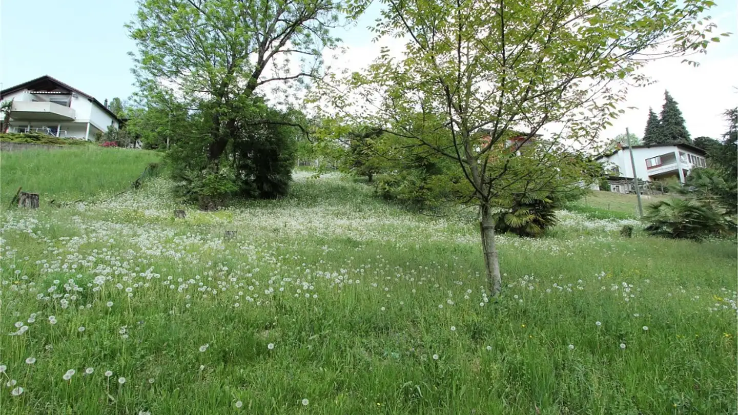 Constructible plot for sale - 6998 Monteggio - Photo 3