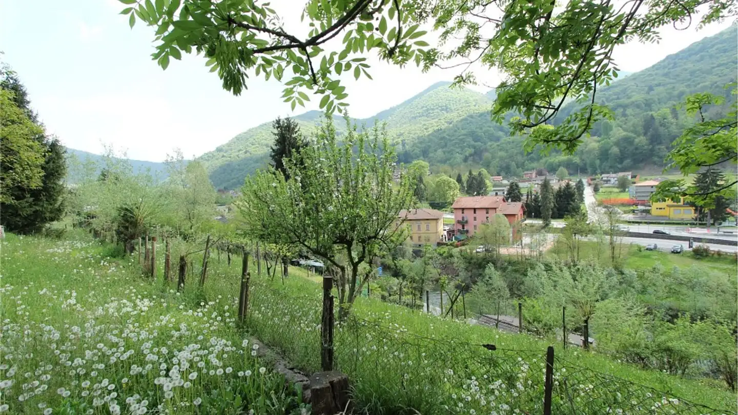 Constructible plot for sale - 6998 Monteggio - Photo 4